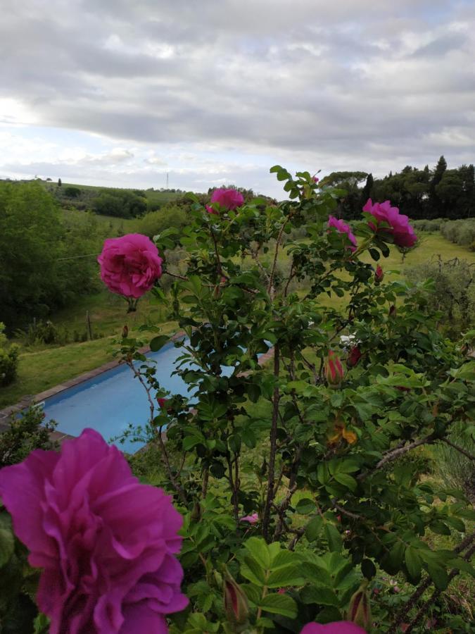 Poderi in Chianti Tavarnelle Val di Pesa Esterno foto